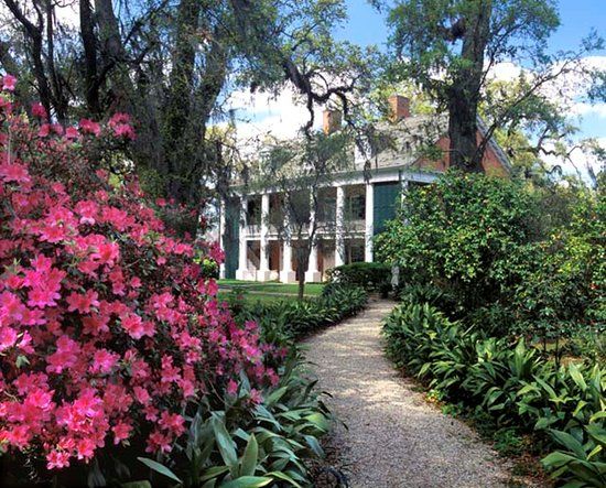 Shadows on the Teche